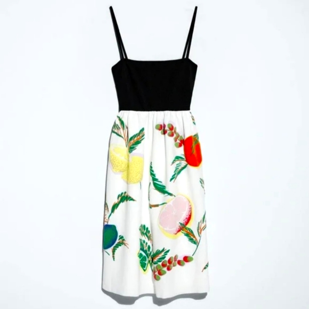 Zara rubberized combination fruit dress